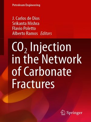 cover image of CO2 Injection in the Network of Carbonate Fractures